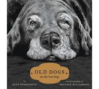 Old Dogs: Are the Best Dogs