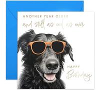 Old English Co. 'Another Year Older and Still as Cool as Ever' Funny Birthday Card for Him - Humour Dog Birthday Card - Hilarious Dog Birthday Card for Son, Nephew, Grandson | Blank Inside Envelope