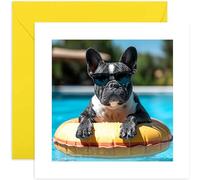 Old English Co. Fun Photographic Birthday Card for Men and Women - French Bulldog Birthday Card for Him or Her - Congratulations Card for Dad, Mum, Brother - Just Because, Thinking of You, Thank You