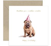 Old English Co. Funny Dog Birthday Card for Him or Her - 'Another Year Another Wrinkle' Birthday Card for Men Women - Cute Dog Birthday Card Gift for Sister, Mum, Friend | Blank Inside Envelope