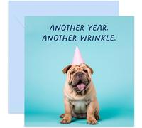 Old English Co. Funny Pug Birthday Card for Her - 'Another Year Another Wrinkle' Humorous Card for Men Women - Cute Dog Pun Card Birthday Card for Him - Dog Mum Dad Birthday Card | Blank Inside