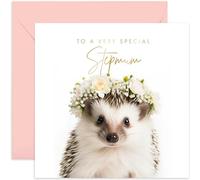 Old English Co. Hedgehog Very Special Stepmum Card - Hedgehog Floral Cute Birthday Card for Her - Cute Well Done Congratulations Cards for her from Stepchildren | Blank Inside Envelope