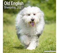 Old English Sheepdog 2027 Calendar | Square Wall Calendar | Dog Breed Gift | Plastic Free Packaging | by Avonside Publishing