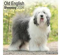 Old English Sheepdog 2026 Calendar | Square Wall Calendar | Dog Breed Gift | Plastic Free Packaging | by Avonside Publishing