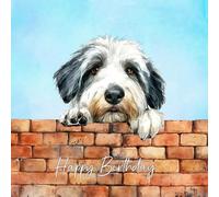 Old English Sheepdog Dog Art Square Birthday Card