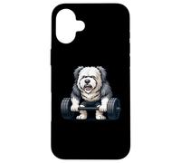 Old English Sheepdog Weightlifting Bodybuilder Workout Gym Case for iPhone 16 Plus