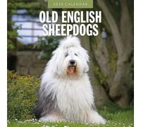 Old English Sheepdogs - 2026 Square Wall Calendar - by Red Robin Publishing
