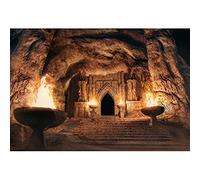 Old Gothic Castle Backdrop Fabric Medieval Stone Wall Backdrop Underground Cave Photos Backdrop Maze Background Gothic Birthday Party Backdrop Halloween Party Adventure Event Photo Backdrop 12x8ft