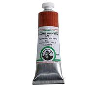 Old Holland Classic Oil Colours Italian brown pink lake 40 ml 331 by Old Holland