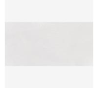 Old Holland : New Masters Classic Acrylic Paint : 60ml : Iridescent White