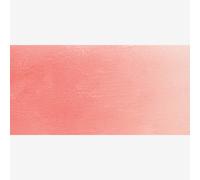 Old Holland : New Masters Classic Acrylic Paint : 60ml : Old Holland : Pink Medium