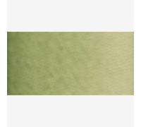 Old Holland : Watercolour Paint : 6ml : Green Earth
