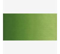 Old Holland : Watercolour Paint : Half Pan : Sap Green Lake Extra