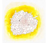 Old Light - Dirty Future