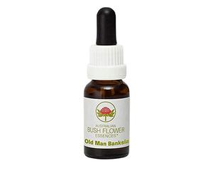 Old Man Banksia 15 ml Stockbottle Australian Bush Flower Essences