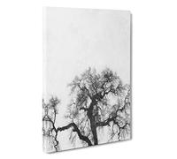 Old Oak Tree Canvas Print | Gallery Wrapped 30mm Frame Wall Art | 30x20 inches | Ready to Hang | Abstract Landscape Picture | Living Room Bedroom Lounge Office