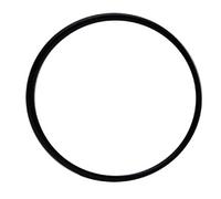 Old PFLO UVC Head O-Ring - One Size