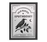 Old Raven Apothecary Mirrored Wall Art - Vintage-Inspired Gothic Design with Raven and Botanical Illustrations - Intricate Detailing - Elegant Statement Piece for Dark, Moody Interiors