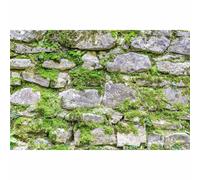 Old Rocky Stone Backdrop Lush Green Moss Rock Texture Photography Background Moss Covered Rock Wall Retro Rocky Pattern Walls Backdrop Decor for Baby Children Adult Portrait Photo Props 7x5ft