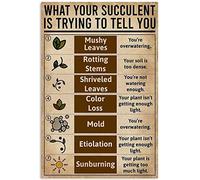 Old Tin Plaque Vintage What Your Succulentis Trying T0 Tell You Knowledge Metal Signage Bar Soil Is Too Dense Living Room Wall Art Deco Funny Gift 8"x12"