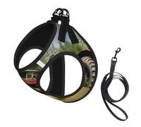 Old Tractor Photoes Farm Print Soft Mesh Dog Harness and Leash Set Pet Puppy Cat Comfort Padded Vest No Pull Harnesses