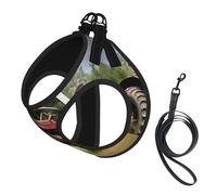 Old Tractor Photoes Farm Printing Dog Summer Harness With Leash Set,Adjustable And Reflective Step-In Puppy Pet Vest Harnesses