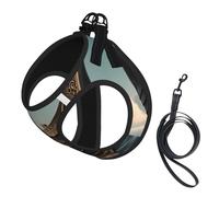 Old Viking Boat Print Dog Harness with Leash Set with Thickened Padded Vest for Extra-Small/Small Medium Dogs