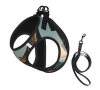 Old Viking Boat Print Soft Mesh Dog Harness and Leash Set Pet Puppy Cat Comfort Padded Vest No Pull Harnesses
