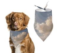 Old Wild West Cowboy Town Pet Scarf Adjustable Pet Accessories Triangular Scarf Washable Floral Print Puppy Bib Bandana Stylish Comfortable Cat Scarves for Holiday Scarfs