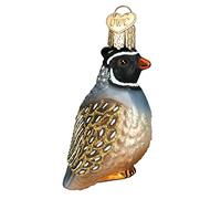 Old World Christmas Bird Watcher Collection Glass Blown Ornaments for Christmas Tree Patridge