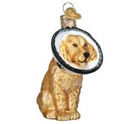 Old World Christmas Cone of Shame Dog Glass Blown Ornament for Christmas Tree