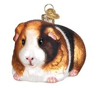 Old World Christmas Guinea Pig