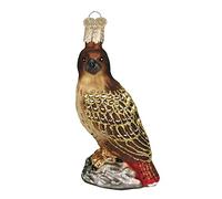 Old World Christmas Ornaments: Bird Watcher Collection Glass Blown Ornaments for Christmas Tree, Red-Tailed Hawk