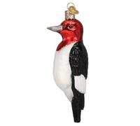 Old World Christmas Red-Headed Woodpecker Glass Blown Ornament for Christmas Tree