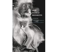 Old World Monkeys