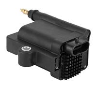 OLDDO 1/3 PCS Ignition Coil Fit For Marine Optimax Racing 30-300 EFI 300-879984T01 300-8M0077471 339-879984A1 339-879984T00(GRAY)