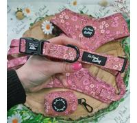 Olde Garden Bloom Pet Pooch Boutique Dog Collar, Padded, Adjustable, Floral Pattern. XS-M (Extra Small 22-30cm / 8.7-11.8inch. 1.5cm wide)