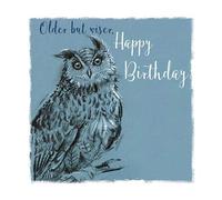 Older But Wiser Owl Birthday Greeting Card The Wildlife Range Cards
