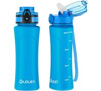 OLDLEY 450ml/15oz Water Bottle with Straw 2 Lids Reusable Drink Bottles with Times Markings for School Home Camping Outdoor Sports BPA Free Leakproof Durable