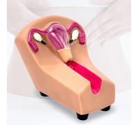 OLDMFZP Female Intrauterine Contraception And Training Model, Contraceptive Model for Nursing Students Obstetrics and Gynecology Training Guide Mold Practice Model for School Student