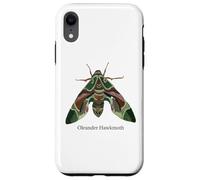 Oleander Hawkmoth Design For Lepidopterists Case for iPhone XR