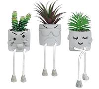 OLEEK Cute Desk Decor - Fake Plants Office Decor - Small Plants for Office Cubicle Decor - Desk Decorations for Women Office - Fake Succulents for Office Decorations for Work Desk Women - Desk Plant