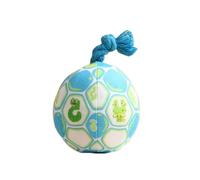 OLEOJH Dog Interactive Toy Ball, Durable Plush Toy, Clean Teeth, Chew Pet Training Ball, Can Make Sound, Suitable for Small and Medium-Sized Dogs, 10cm-Blue