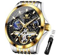 OLEVS Mechanical Men Watch Chronograph Diamond Tourbillon Date Moon Phase Adjustable Bracelet Gift Multi-Function Blue/Black/Gold/Silver Face Watch for Men, G6705: Two tone strap & black dial, Luxury