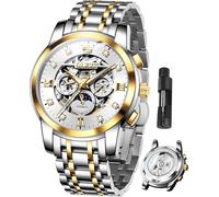 OLEVS Mens Luxury Skeleton Automatic Watch Diamond Self Winding Mechanical Timepiece Gifts Luminous Waterproof, G6721: Two tone band & White dial