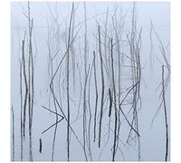 Olhava - Frozen Bloom (2lp) [VINYL]