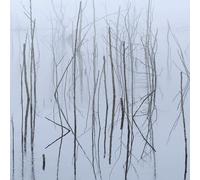 Olhava - Frozen Bloom