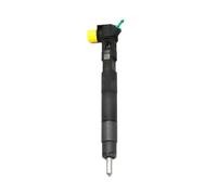 OLHJLMT 4pcs/lot Common Rail Injector 28342997, Compatible for Delphi Fuel Injector Filter Fuel Injector Nozzle Cleaning Tool Fuel Injector Nozzle Replacement