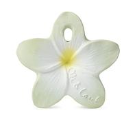 Oli & Carol Chewy - Bali la fleur