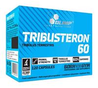 Olimp Nutrition Protein Amino Creatine Vitamins Fat Burners All Variants